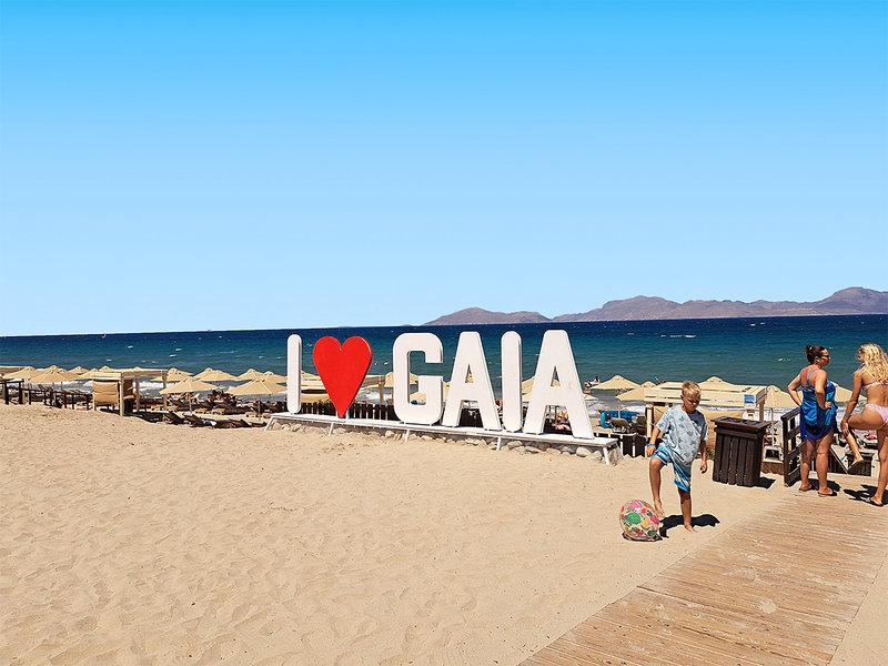 A7B54CD62FC4310DDD13F630D9E2A5DF