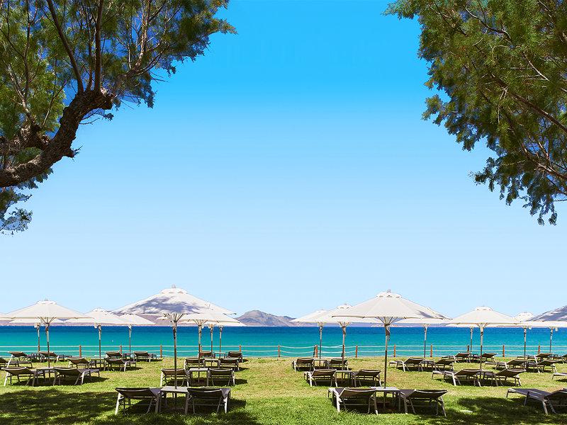 8DB7AF6B71F706913C21E6E234DCBAC1