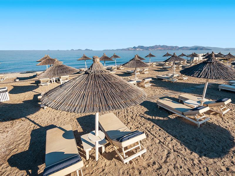 1C522EE6AE025D316CC198B9CE064D66