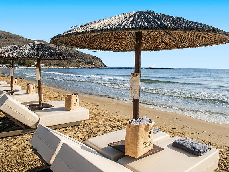 64C887741EE02C54D26752A5AD74AD58