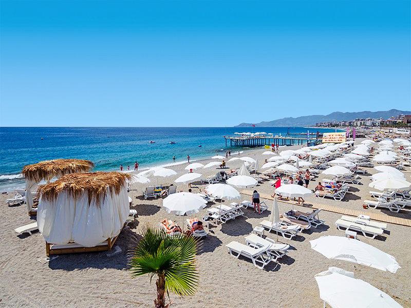 2D33CE2F83CBE9367C3DC5DF31789463