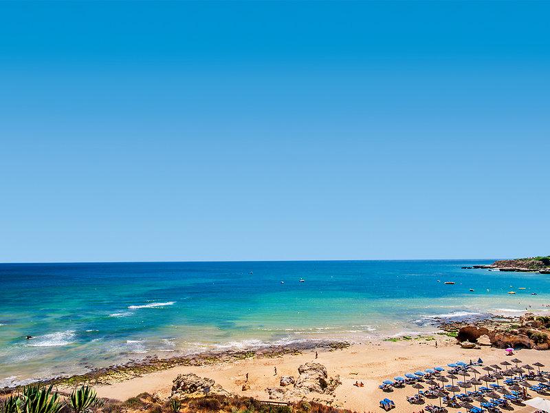 88645DDA9C46617474EBCDCBFA1DFA65