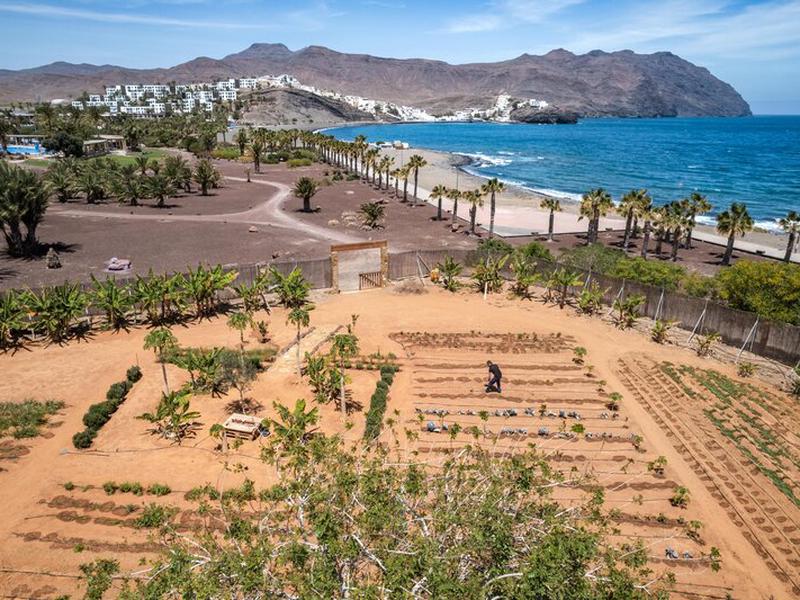 6059760F84D113927E7A444988466B36