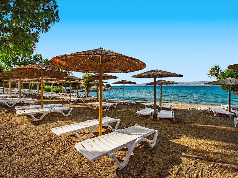 7E97E511234989AD9C26943F2E25A1B8