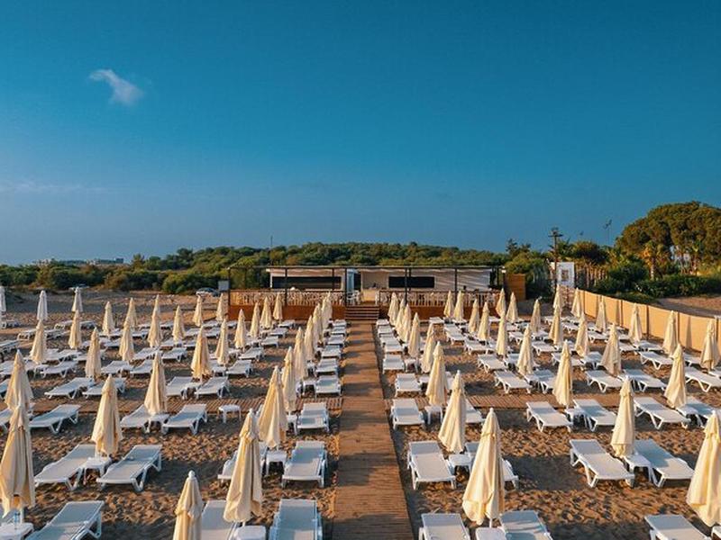 E13CAC7568C0D54C8361363A19D65567