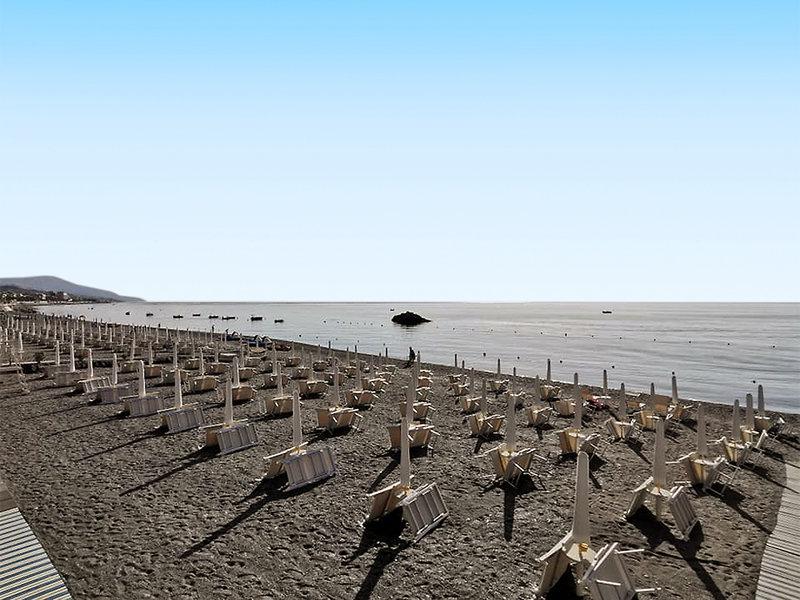 AF202524740ED2234AD54D65082E55FA