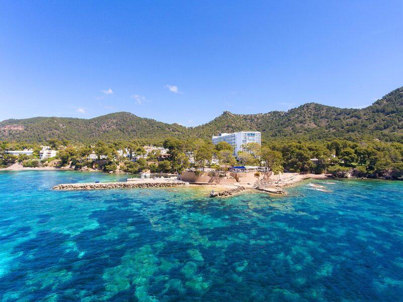 66F8849055E7CADFFD6C5F18D4152438