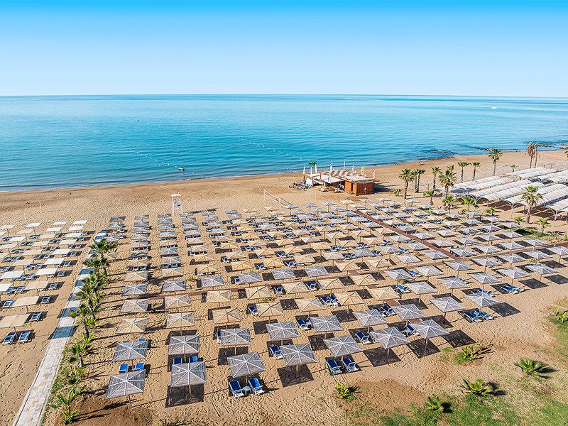 F6C56A299FFBE2ACB2D5703FFEB91FA4