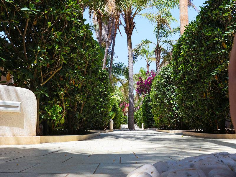 0537343A3126EDE906F2AA71635FE1CD