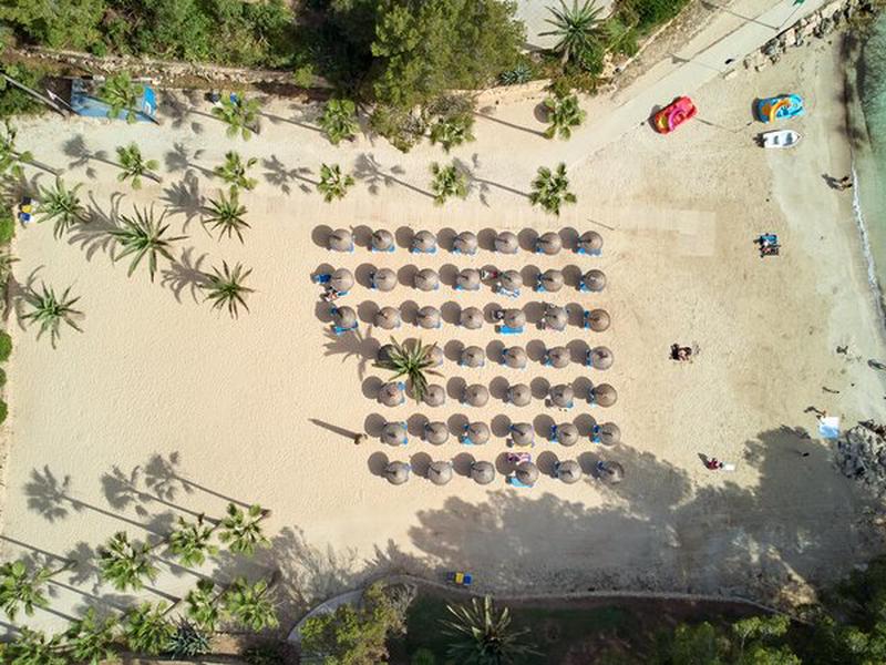 3A0560FED923BE4B08EF636127E3B945