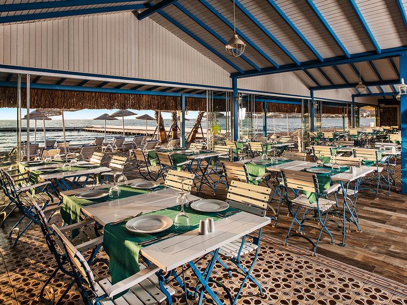 E58E93ABEEDB18559E71BC9CA4A5A98E