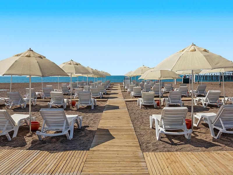 C2931174492A3AAB93239C24018D5CC5