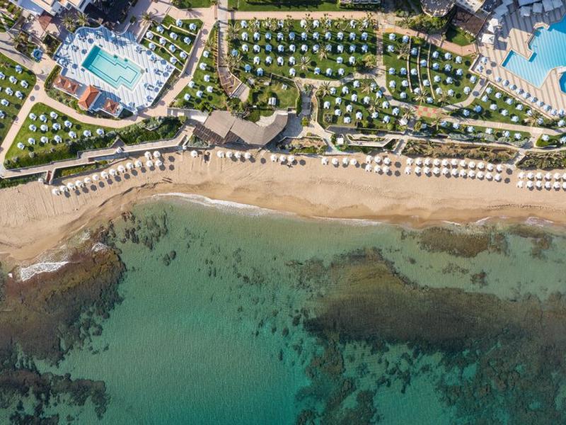 950703D5577DECE526FD58703792E9DC