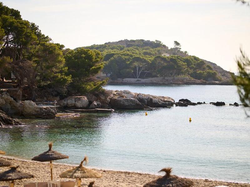 288282EA2DC343E29BC28B8152BEF90E