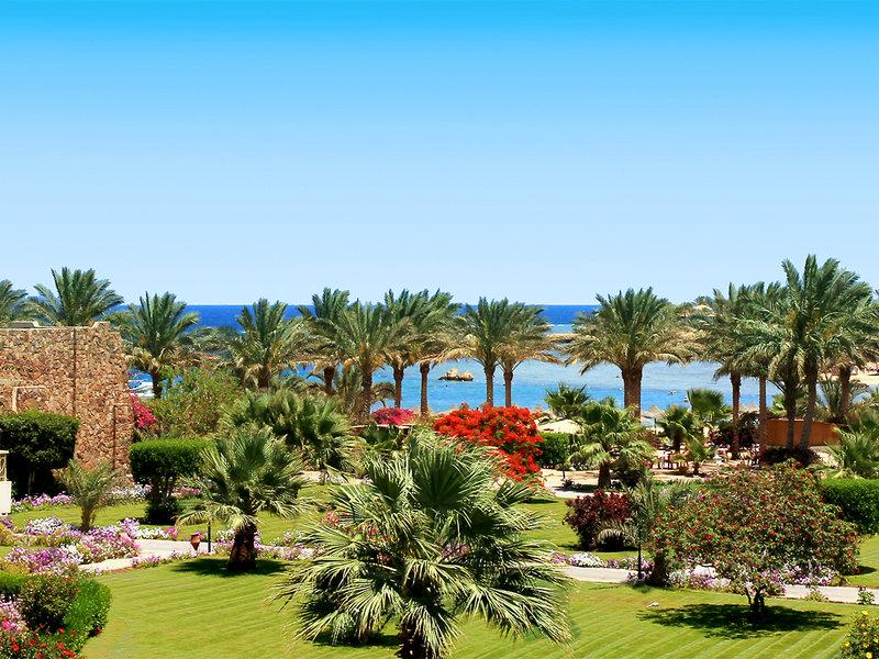 8EDF68A94BCC3CF35FD527FE5040F1AE