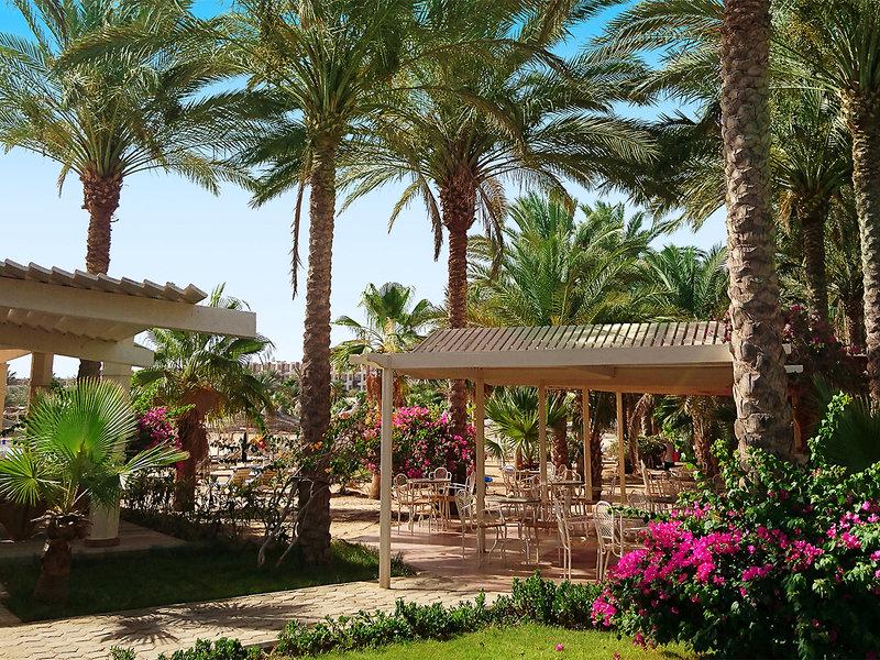 EF0F644259587D9E7D21096F35CE72A8