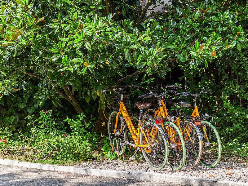 EEEBBACCF63D8C0399E63B1C2D480A84