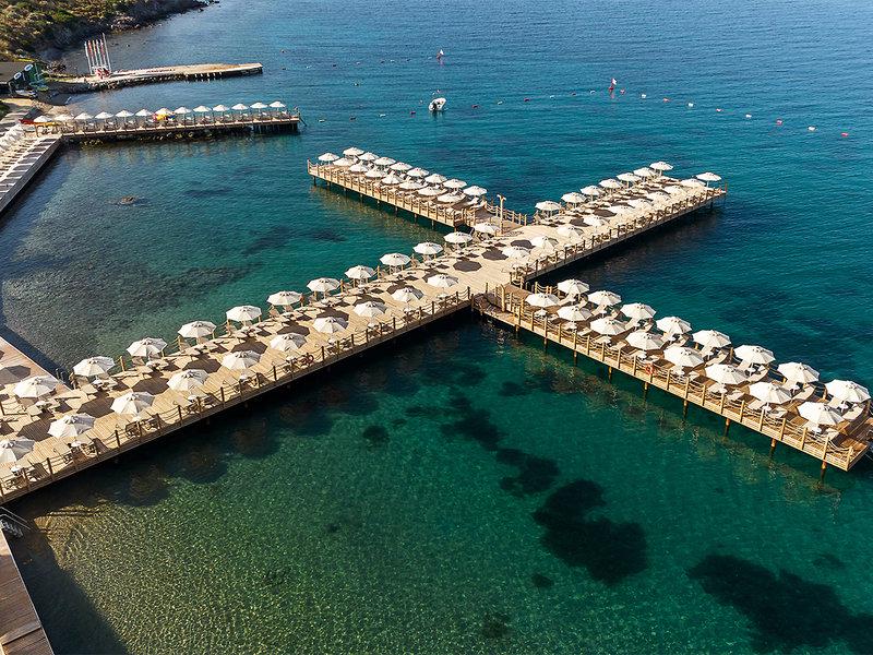 E0513989D97254F3F23A5BBFCC2E612B