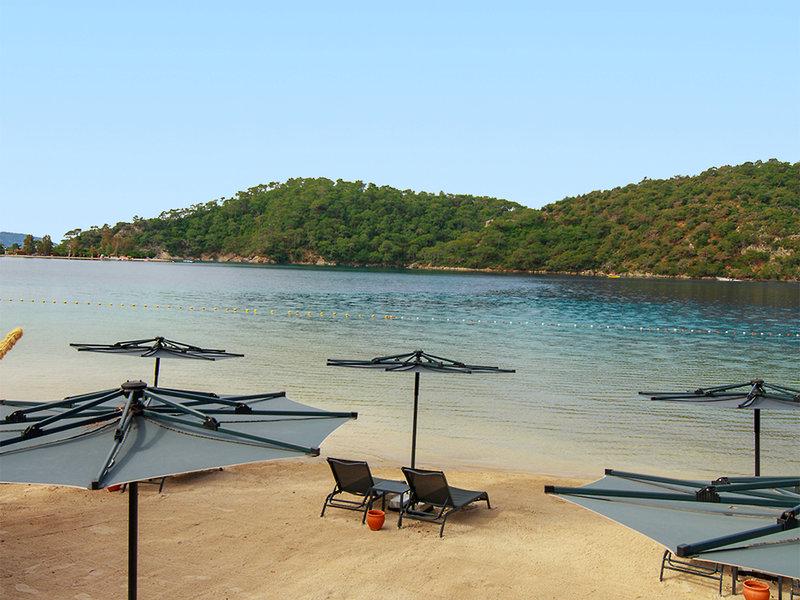 20199EAF390DC581C3DD96790DFCD6D3