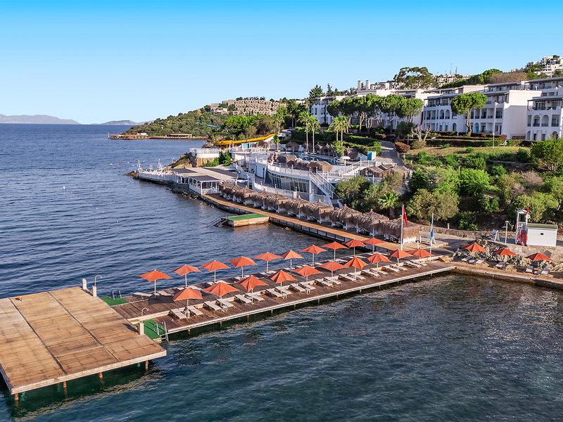 D48884A45F9F48EEF616BADB707F8EDC