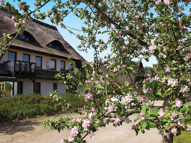 8FB4632DA77DCB35EE757504B7533601