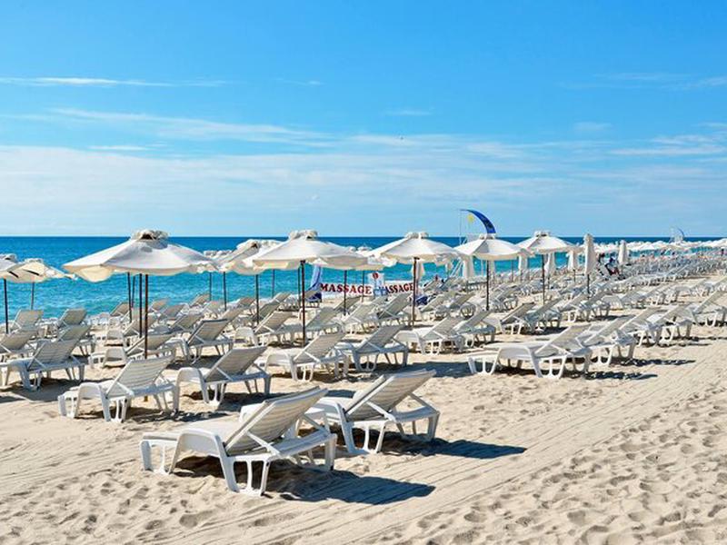 BD693951C2B4A837228506E202D5B95A