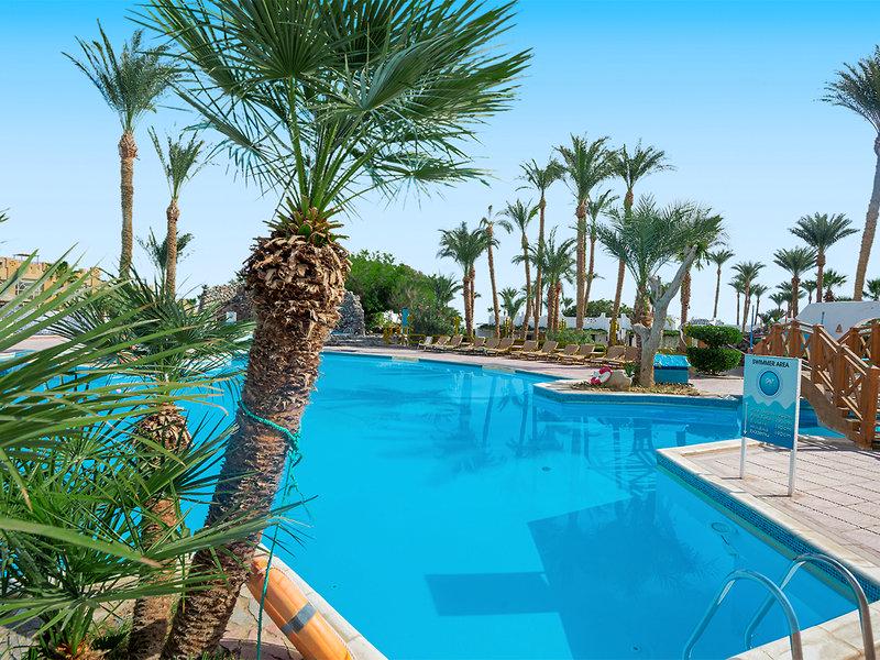 10B2C2DC58056D0ADDDC53786C665431