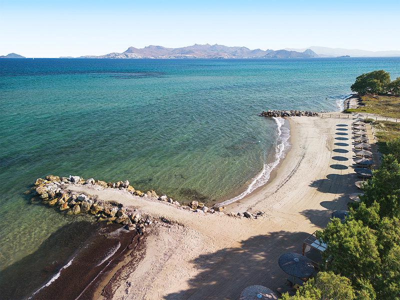 413968417CE0FD2FB2A0293E14E1F328