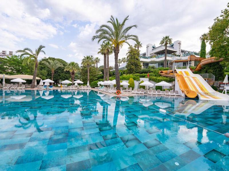 8E1B06AB578A3F6B86691A44347F497C