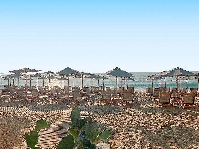 8999BECCCEFECCE1D6E93E0B3BCEF051