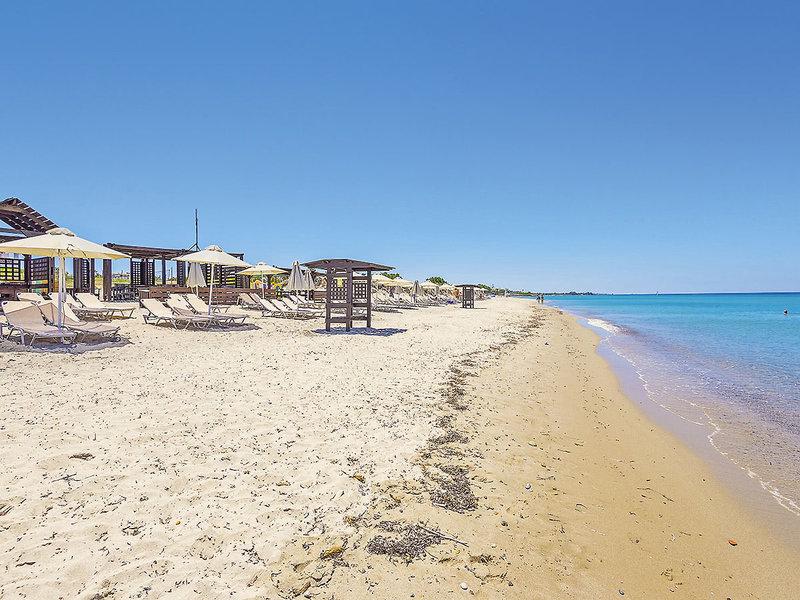 1D580F1B4DF72C1E1BFB5DAFAA2F04C7