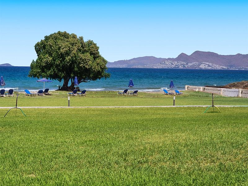 5947016C5A15B251E3BD4C281A91A269