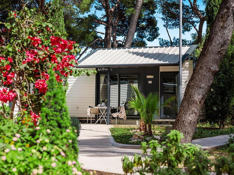 41DDAD53167E419A3B8941050F72EACA