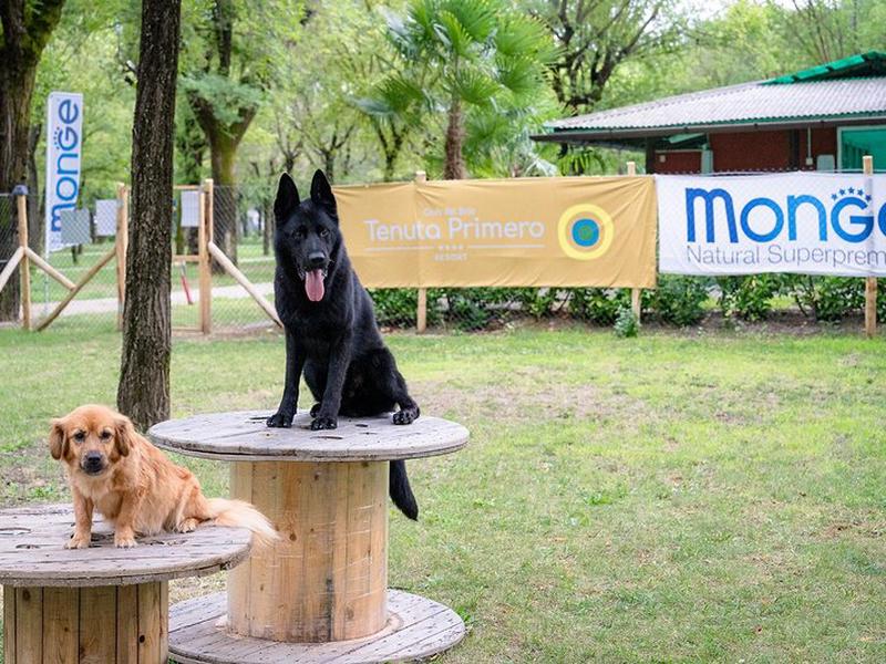 11104452E1C03E4414498B69DD7E7C0B