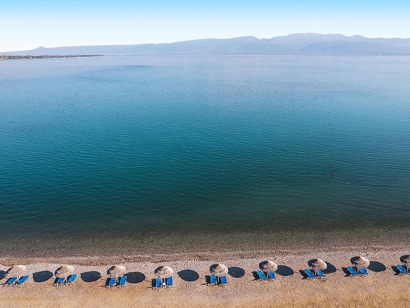 D81FCF6D166BA2F9CB45D49F7F96A907