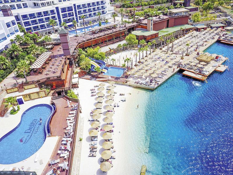 F6A3E19DC56E03293F8A1A969639D07F