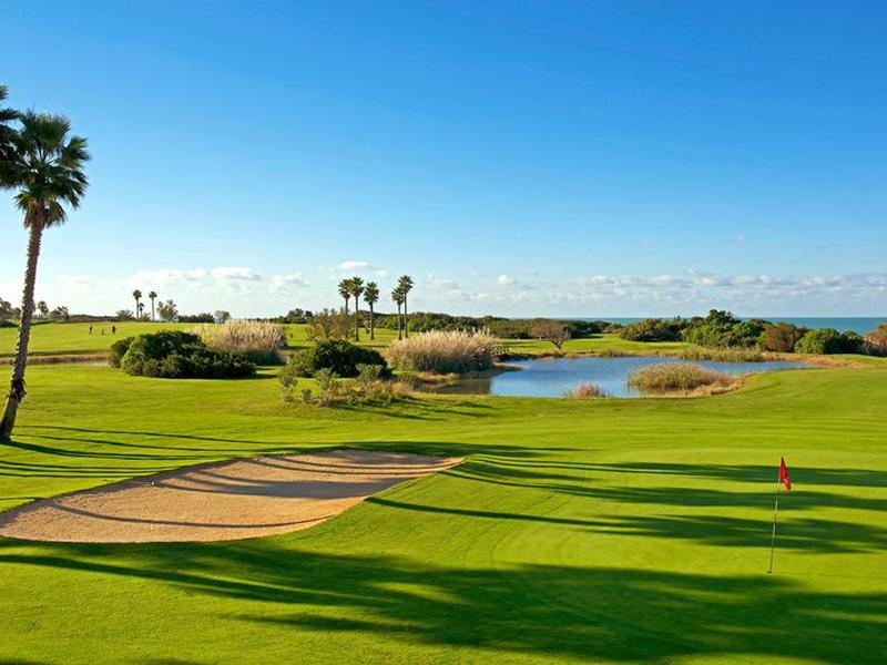 D61EB9BFE44F8571CE746456F2B6BF66