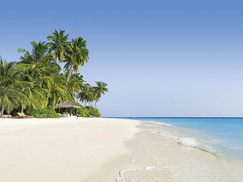 83AF60D49D8088BBA317C8604B33786D