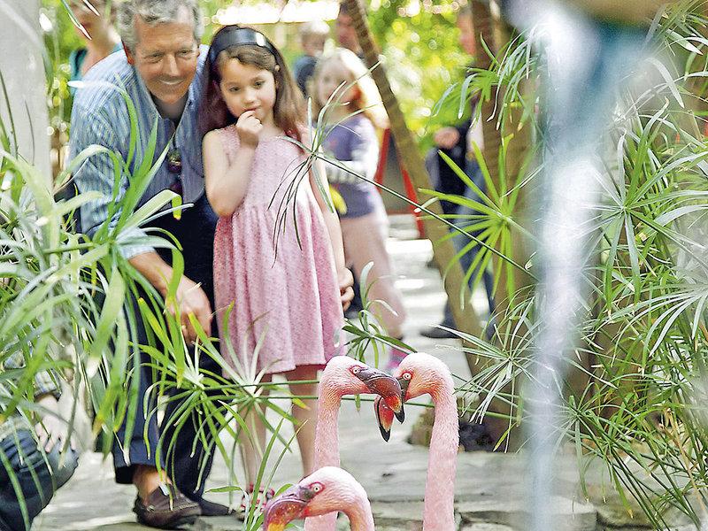 4C418DFCB6E27C8CCEC848A628FFA029