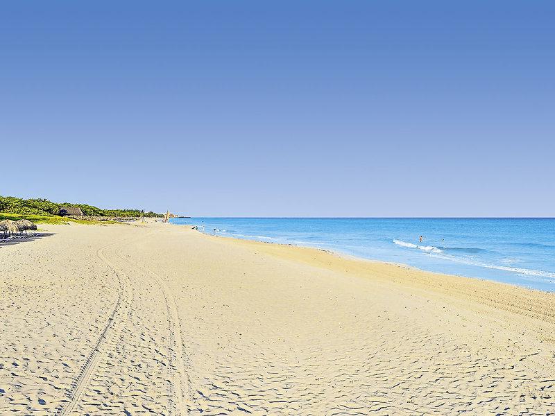 92B720AE6A47927CC31FCBF528DBEE34