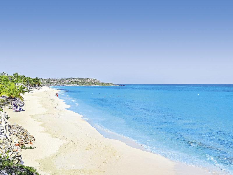 9084B9C4C93B2E9BFA3978E40B95CC13