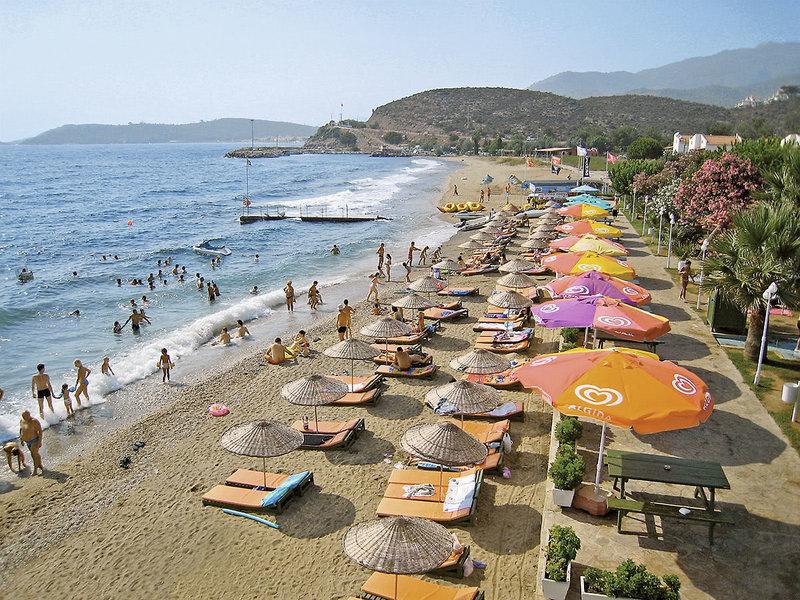 FEFE163EAEB1E18311A02064877DDDF0