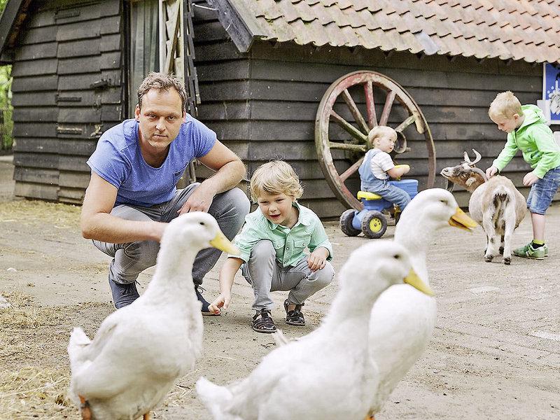 31141ECF9F13B442C705C57B6510D4D3