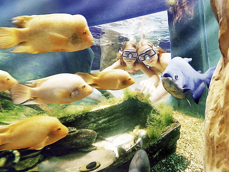 603B87AE2F718F5E327667D232DD4ACC