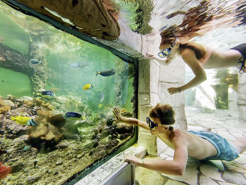 6C5DAA75995595B6CB0CD28EE0E354CD