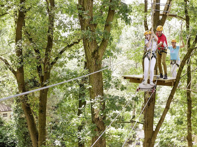 31CBD644D15A5337E4F8E49C32858F6A