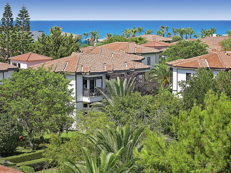 CCAA7FB4EA0CC541A4CEFA4CB5E89CE8