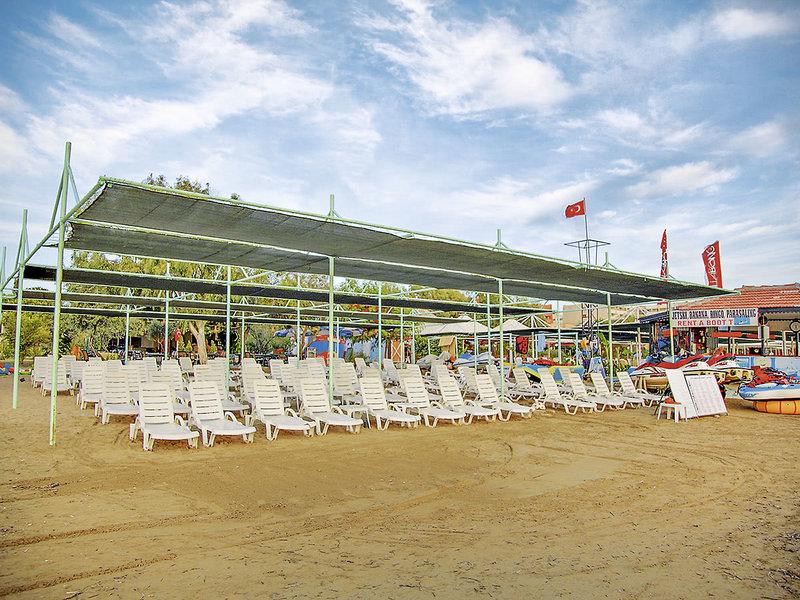 94EC859A8B89D1A8FC0CCD6F2ABFD8B6