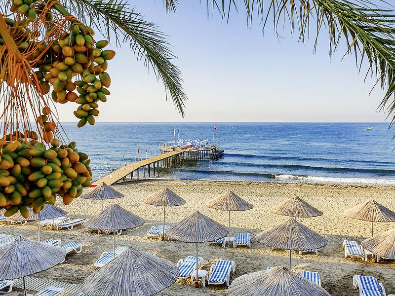 D38452E8DC493F23FDB77082C286F2F3