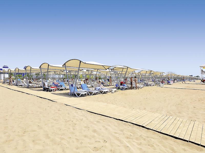 8BA0A62A318D1A7F15EEDC486B74E4C8